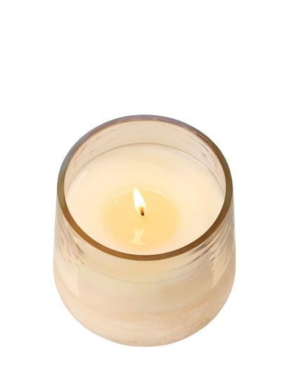 Candle in a glass holder on a white background