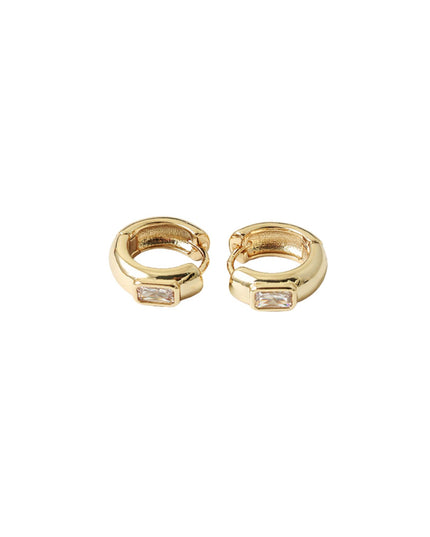 Pair of hoop earrings on a white background