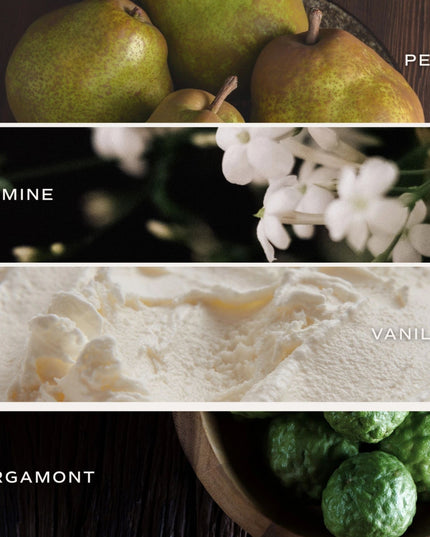 Cashmere & Vanilla Clear Reed Diffuser Scents