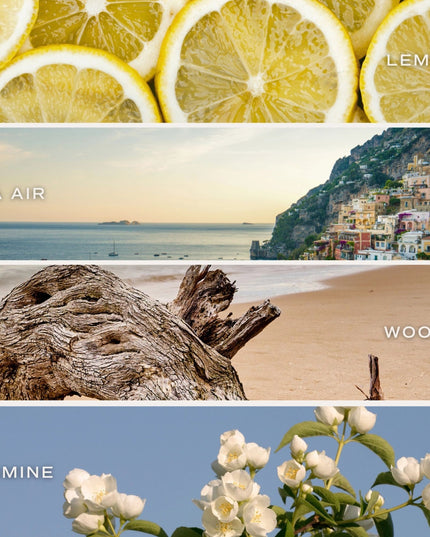 Coastal Lemon Clear Reed Diffuser Scents