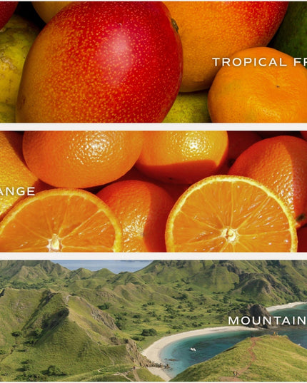 Collage of tropical fruits and a mountain landscape with text labels.