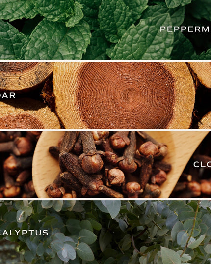 Collage of peppermint, cedar, clove, and eucalyptus with labels underneath.