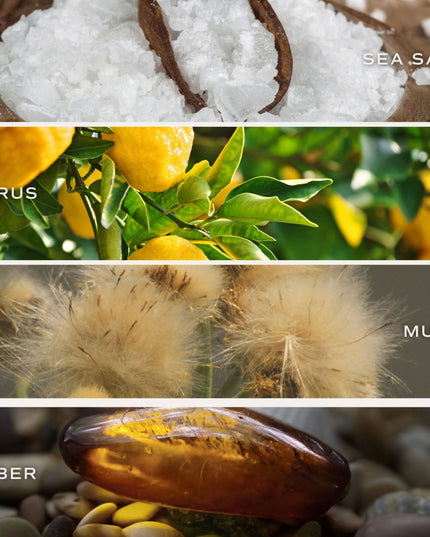 Collection of images showing sea salt, citrus fruits, amber, and musk with labels.
