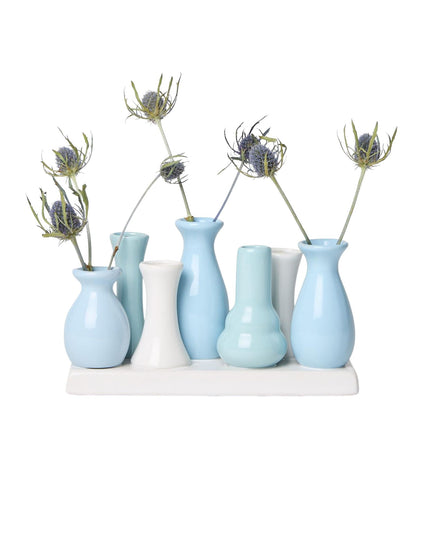 Set of small blue and white vases with dried plants on a white background