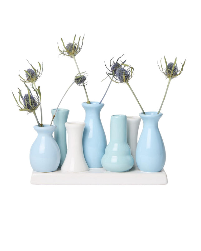 Set of small blue and white vases with dried plants on a white background