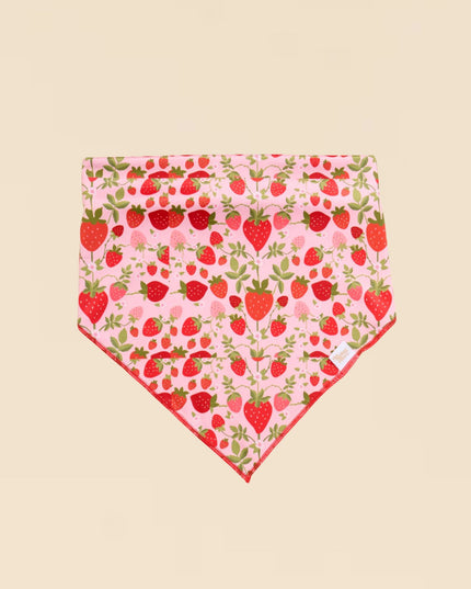 Strawberry Fields Bow-Wow Pet Bandana