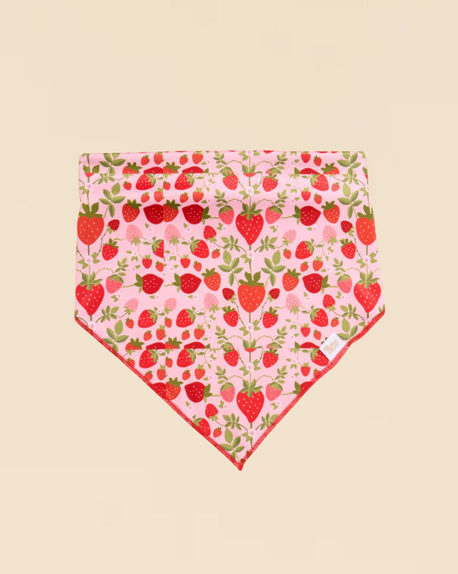 Strawberry Fields Bow-Wow Pet Bandana