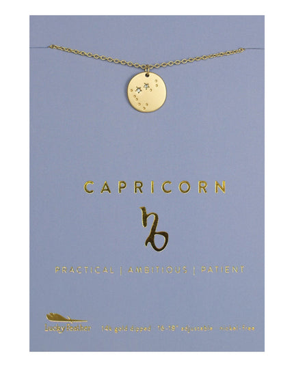 Zodiac Disc Gold Constellation Necklace