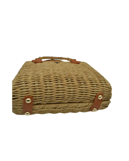 Bamboo Handle Straw Structure Bag