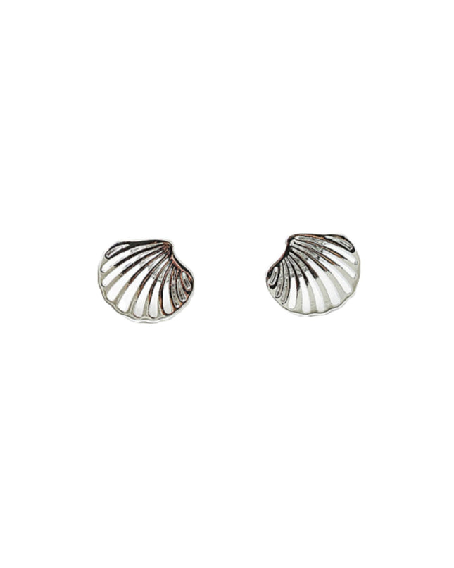 Sea Shell Stud Earrings
