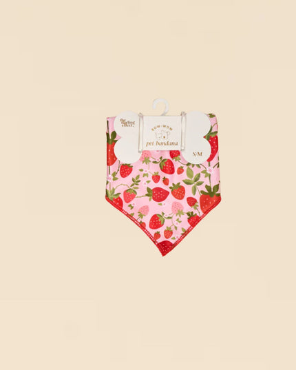 Strawberry Fields Bow-Wow Pet Bandana