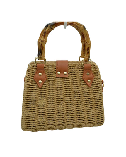Bamboo Handle Straw Structure Bag