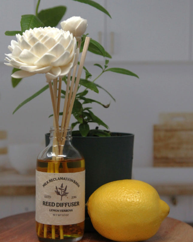 Lemon Verbena Sola Flower Reed Diffuser
