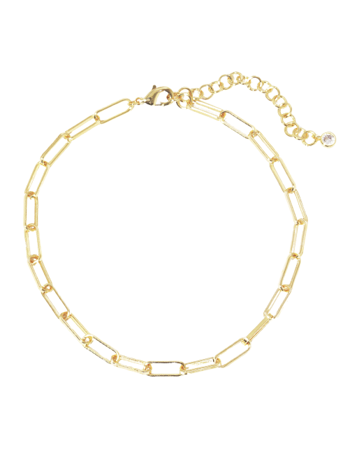 Linked Paperclip Chain Anklet
