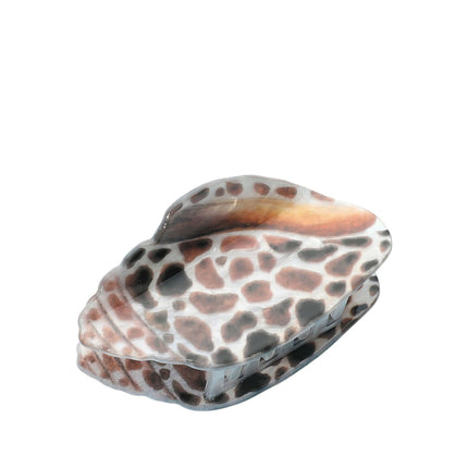 Collection image for: Beachy Hair Clips