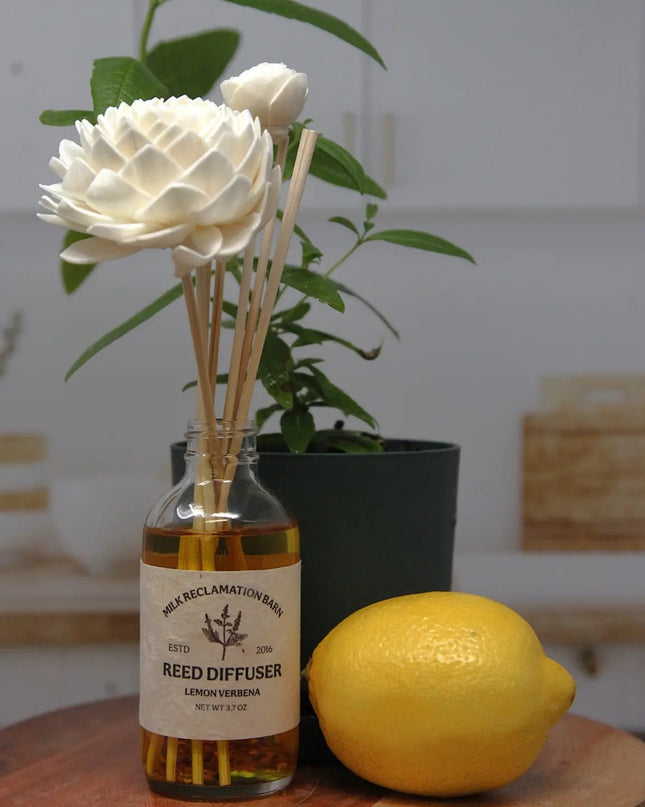 Lemon Verbena Sola Flower Reed Diffuser